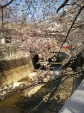 20110408.jpg
