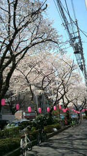 20120424.jpg
